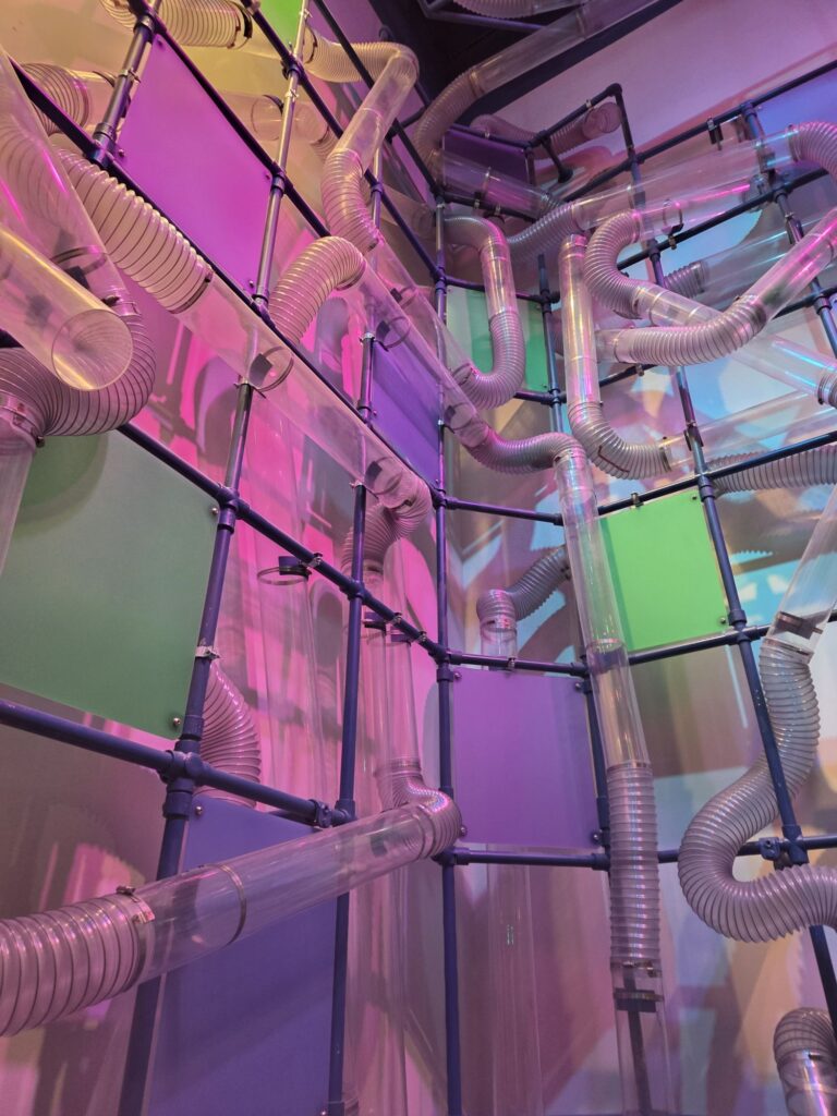 20250624_1036072098503911619181434