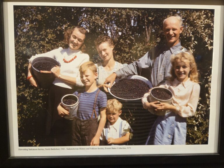 20250625_1345573090265861854754549